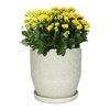 Trendspot Rivage 12 in. D Ceramic Crackle Planter White CR10853-12B